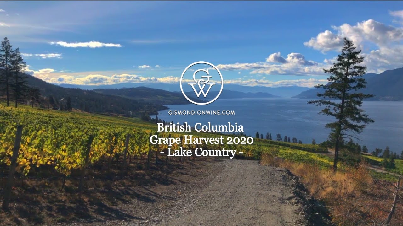 Семейное поместье О'Рурков — Озерный край