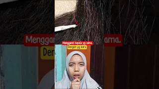 kep4lanya di ganti😱😱 #animals #animation #shortvideo #duet #storytelling