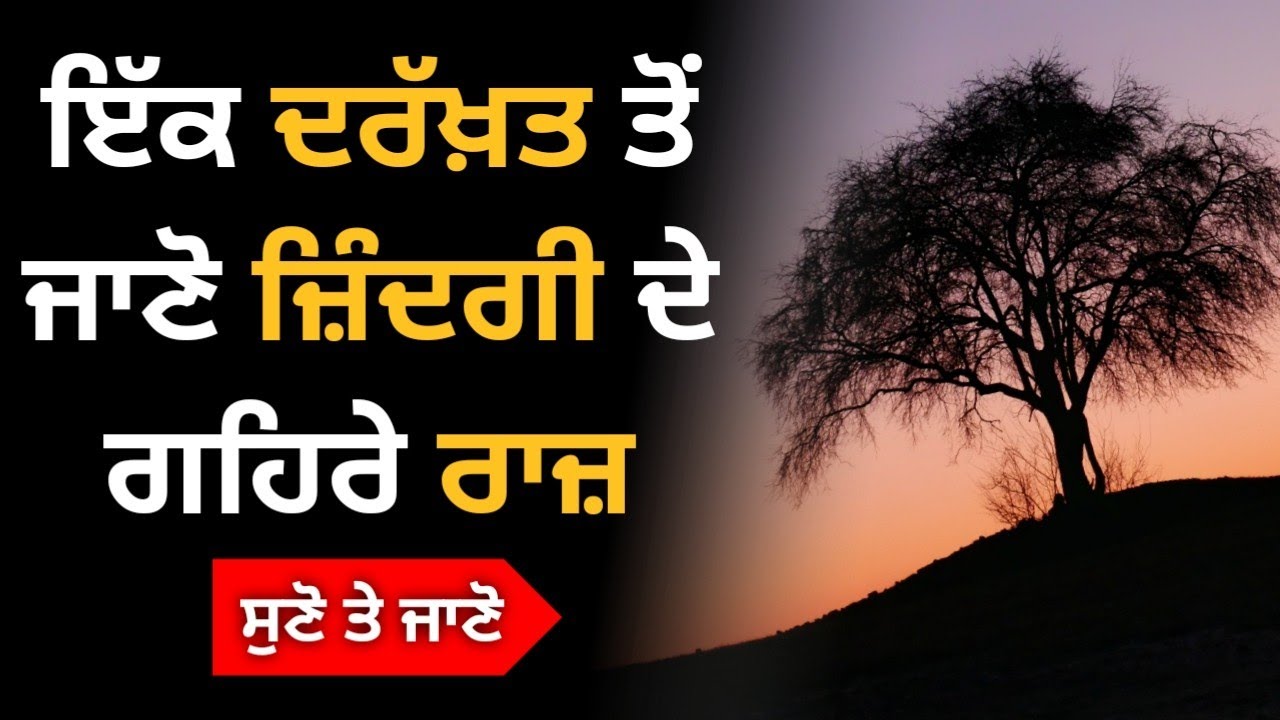 ਗਹਿਰੇ ਰਾਜ਼, Punjabi Motivational Video, Life Lessons, Inspirational, Motivational Video in Punjabi
