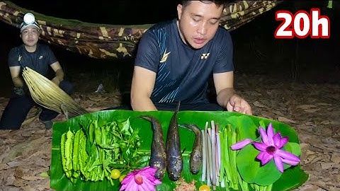 1 Mình Trở Lại Cắm Câu Nướng Cá Ngủ Qua Đêm Trong Khu Vườn Nhãn | Cá Lóc Nướng Ăn Với Rau Sống