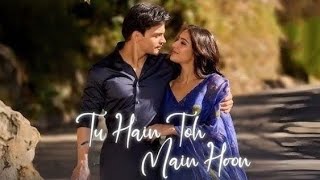 Lyrics- Tu Hain Toh Main Hoon |  Sky Force | Tanishk Bagchi | Arjit Singh |  Afsana Khan