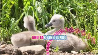 NYEKSO BATIN   HAPPY ASMARA   KARAOKE LYRIC NO VOCAL
