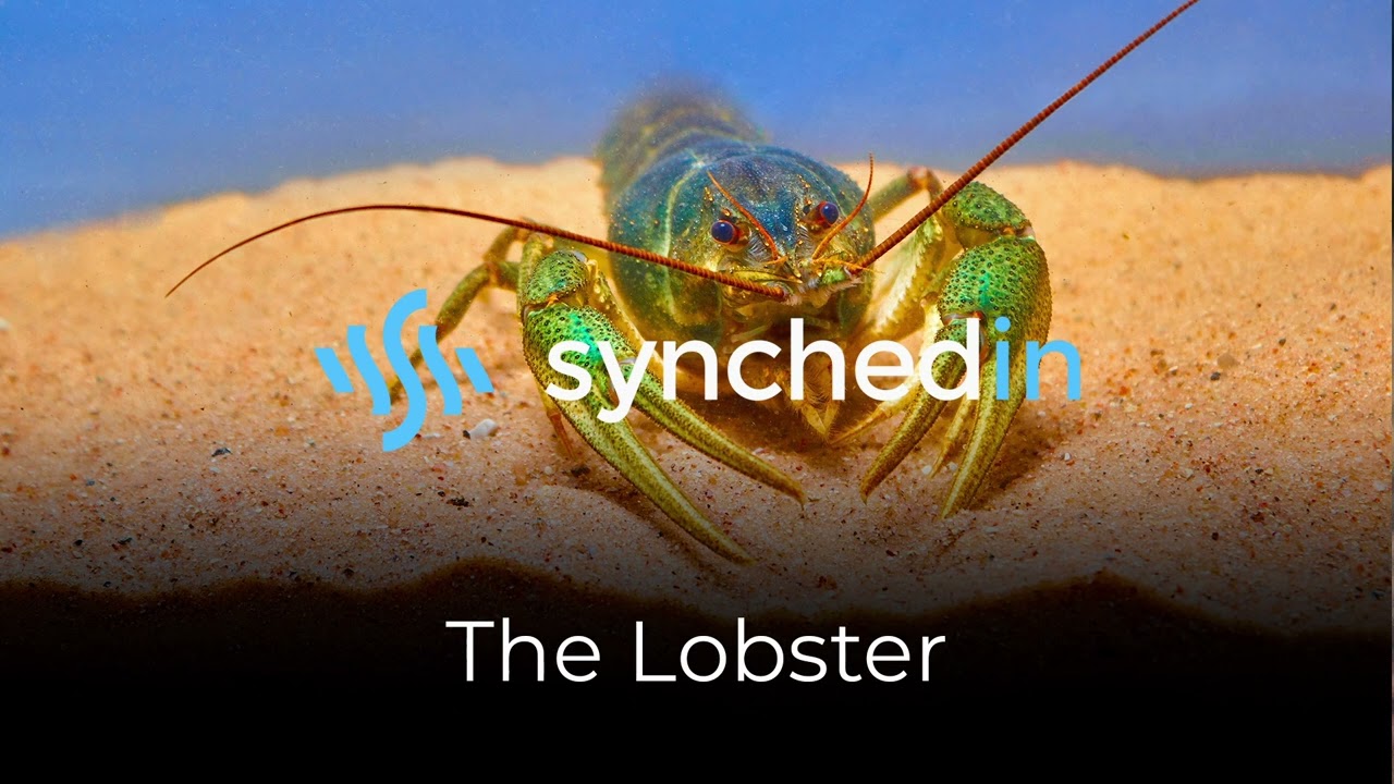 [Royalty Free] Frantic Math Rock | The Lobster by Lahaina Noon | Best Alt Rock Tunes