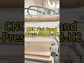 Board Polishing #cncsandmachine #machine #sandermachinewood #factory #woodsanding #sandermachine