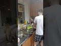 تعلم الجلي في الغربة مع اغنية الله يلعن بي الغربة 😂😂