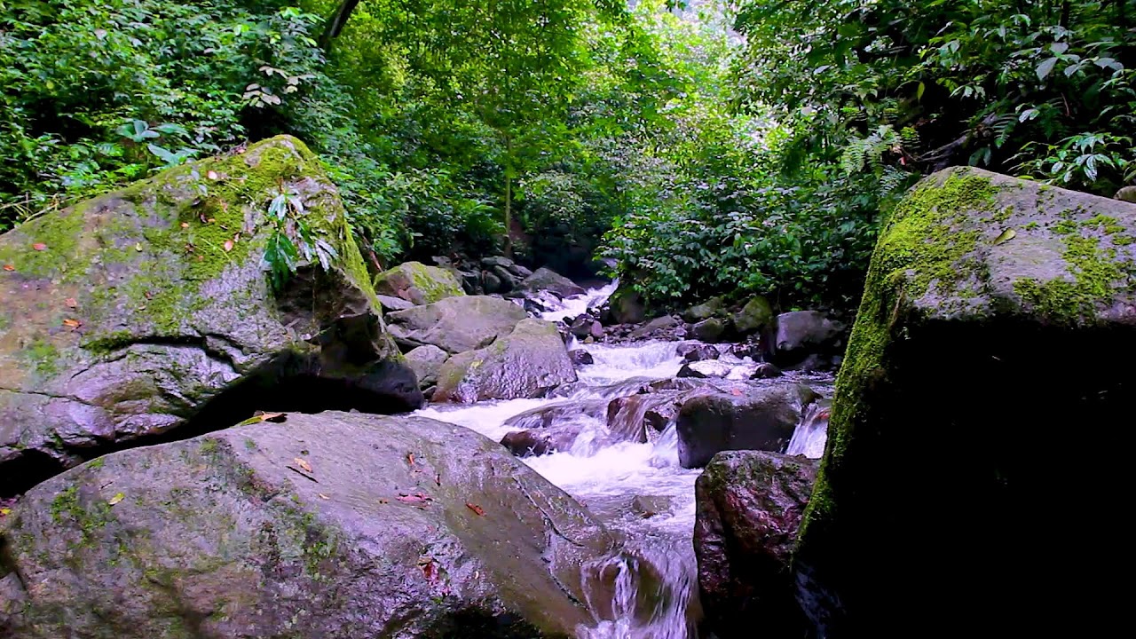 Deep Sleep Escape | Continuous River Sounds for Stress Recovery