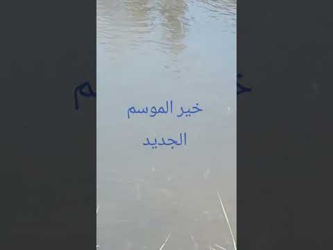 الحامولي لصيد الأسماك احلى تحيه