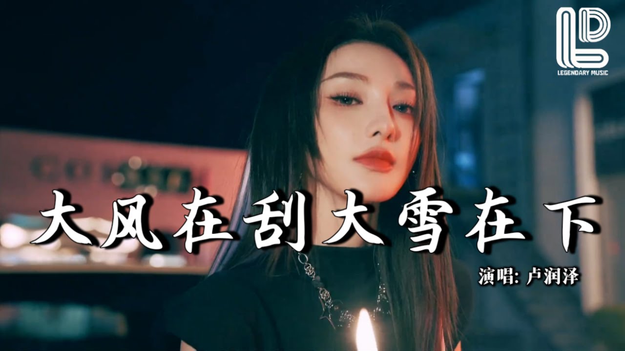 卢润泽 - 大风在刮大雪在下 (抖音热播DJ版) Da Feng Zai Gua Da Xue Zai Xia『大风在刮大雪在下，我还在想他，句句情话 成心口的疤。』 热门爆火版『动态歌词MV』