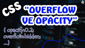CSS Fotoğraf Sitelerinde Kullanılan Teknikler / Overflow ve Opacity /16