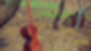 Telfon Zengi 2018 2019 Tar Remix