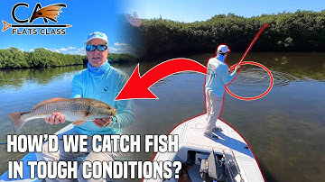 Tailing Redfish Suck! | Flats Class YouTube