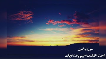 سورة الفيل بصوت القارئ صهيب بلال