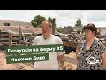 Екскурсія на ферму. #5 ферма «Молочне диво»