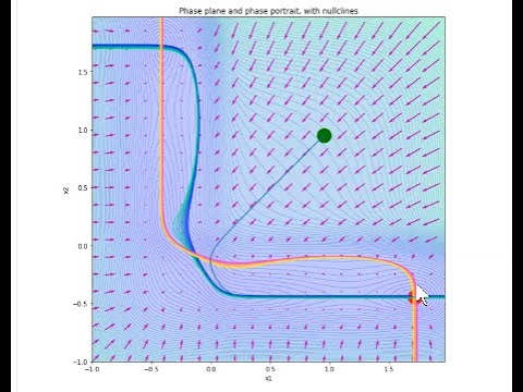 Dynamical Systems in