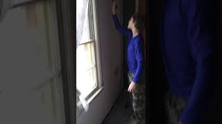 Behr paint and primer in one