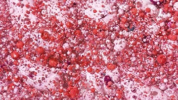 Red Oil Ink Bubbles Motion Stock Video