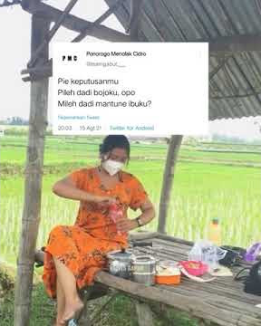 story wa cewek ngirim nasi ke sawah:!