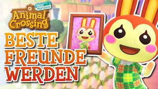 Freundschaft ERHÖHEN und BILDER bekommen! (Freundschaftsguide) | Animal Crossing New Horizons🌟Guide