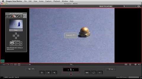 Dragon Stop Motion tutorial - Live View Magnification