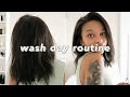 WASH DAY ROUTINE *relaxed/transitioning hair*