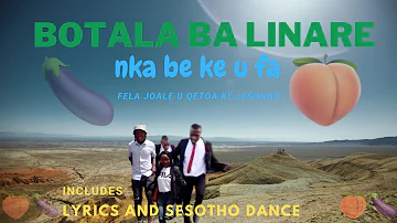 🍆 🍑 🍆  Nka be ke u fa(full song with Lyrics) by Botala ba Linare| Dance