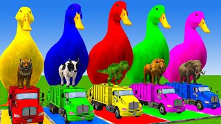 5 Giant Duck Cartoon,Cow,Elephant,Tiger,Lion,Dinosaur,Paint Wild Animals Crossing Fountain Animation