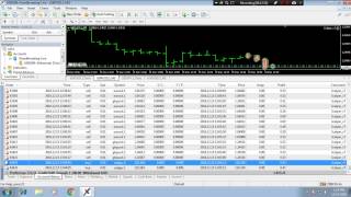 Forex Live/Real Account Trading with 0.01 Micro Lot - Account Managing Service