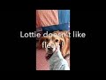 Flea Dog - Lottie doesnt like fleas!