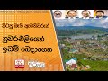 හිටපු|sin