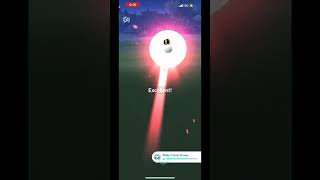 Good morning Shiny ✨ Murkrow! #pokémongo