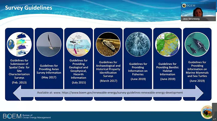 Offshore Wind COP Review Process (Learning from th...