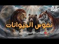 نفوس الحيوانات اسرار تسمعها لأول مره عن الحيوانات الدكتور مصطفي محمود 