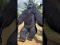 Unbelievable Action Goviral Gorilla Veryfunnyvideo Entertainment Gorilla Usa Uk Africa 
