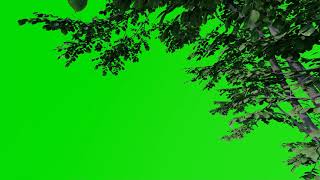 Free Green Screen 3D Movie / Tree01