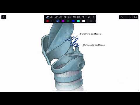 شرح تطبيق ومميزات  للدراسة