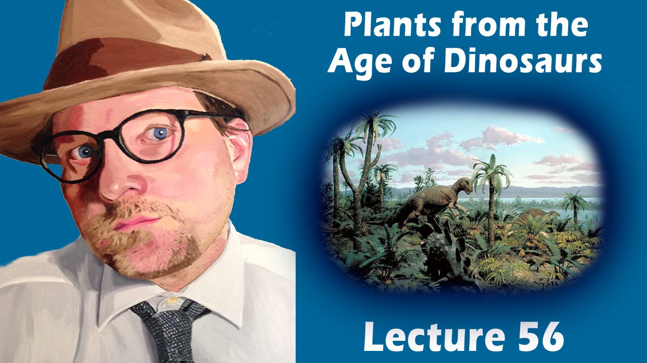 Why Were Prehistoric Plants So Big?