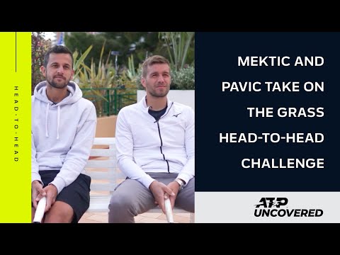 Head To Head - Mektic/Pavic (grass)