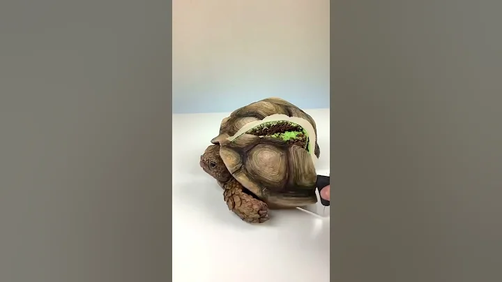 Awesome Cake Decorating Technique Like an Expert | Most Satisfying Chocolate Recipes Compilation(5)