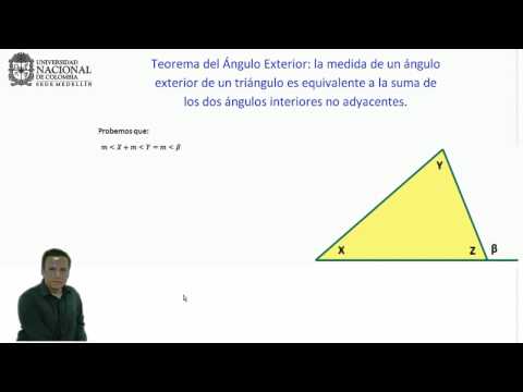 Teoremas Fundamentales de