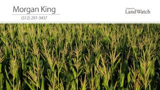 Morgan King | Land in Texas