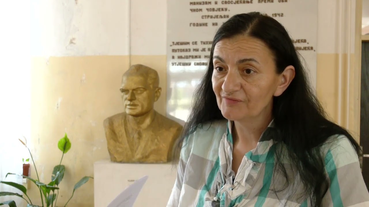 Lice Podgorice: Osnovna škola 