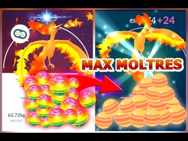 19 Facts About Moltres 