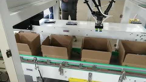 Bag In Box,Red bean paste , automatic packaging line, CASE ERECTOR + PACKER + SEALER Machine