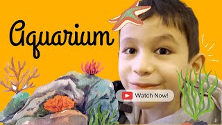 Exploring the Shedd Aquarium in Chicago | Kid's First Visit!