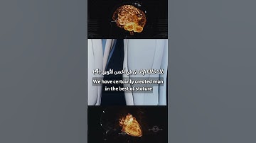 سورة التين / At-Tin