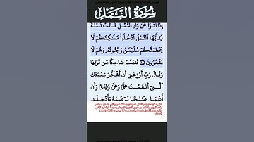 سورة النمل الآية 18 #قرآن #تلاوات #سورة