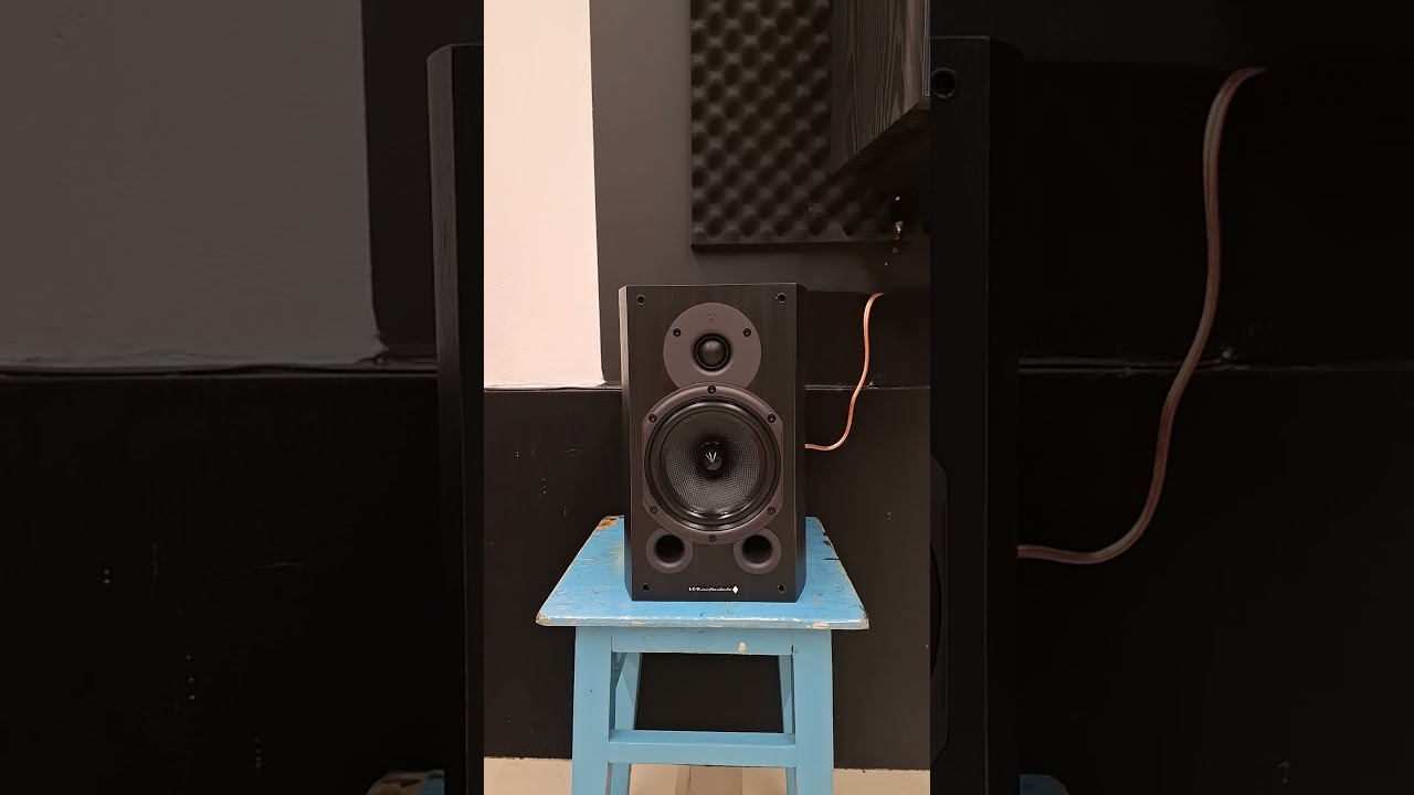 Wharfedale DIAMOND 9.1 vs Dynaudio audience 40