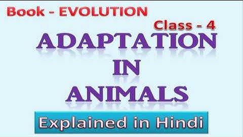 Adaptation in animals | class 4 | Adaptation in animals | Science class 4 | Evolution book
