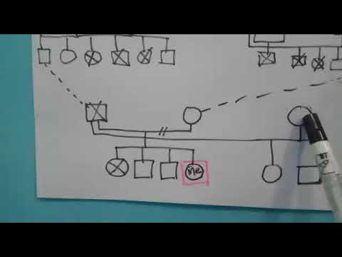 Cara Membuat Genogram (Pohon Keluarga)