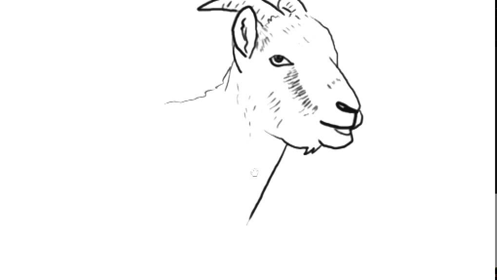 Simple Goat Head Drawing